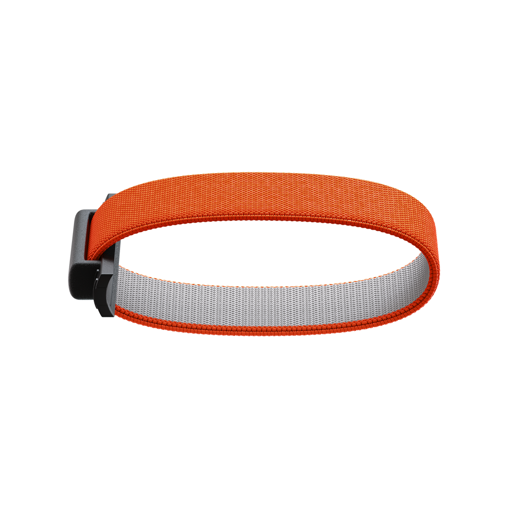 Bandwallet Band Orange