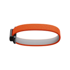 Bandwallet Band Orange